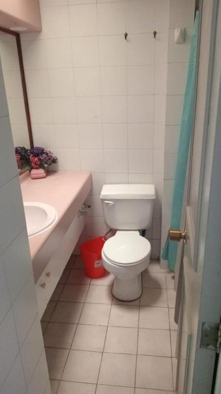 Arriendo cabaña Bahía Inglesa - 3