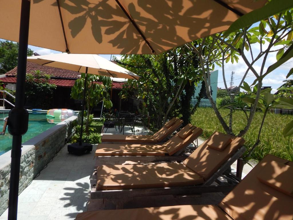 バルコニー/テラス