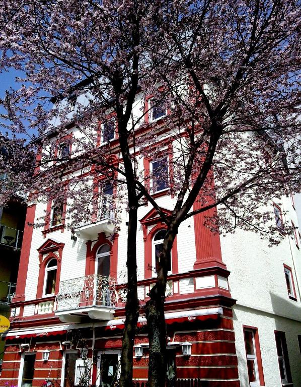Hotel Traube - 4