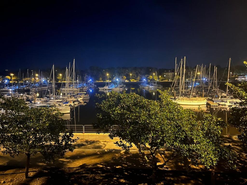 Au cœur du port de Capbreton studio confort - 2