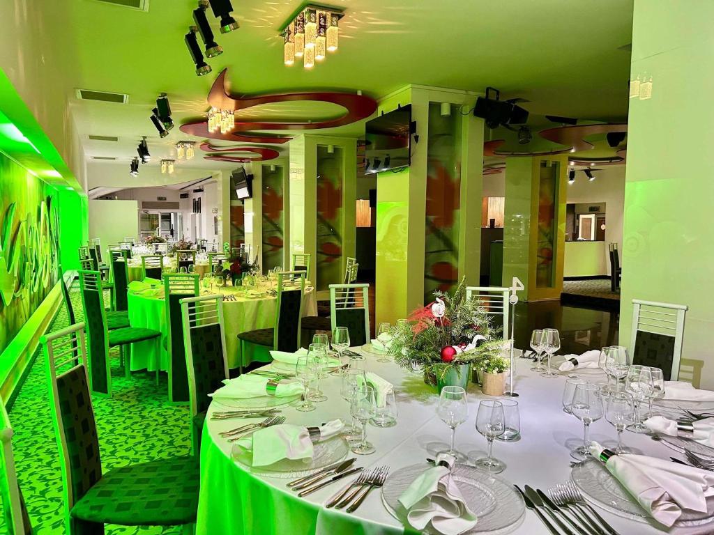 ibis Styles Dunarea Galati 会議室