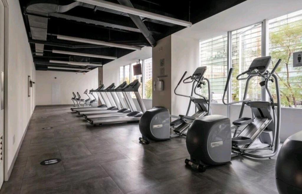 Beautiful apartment in Carso Polanco - 2
