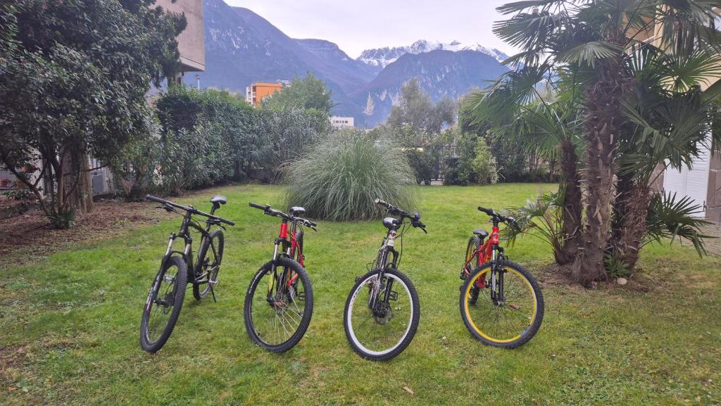 Lake Garda Bike&Hike Apartment - 4