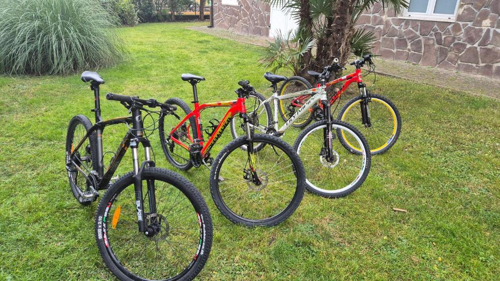 Lake Garda Bike&Hike Apartment - 3