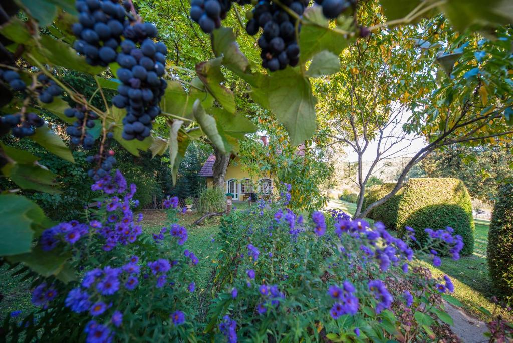 Winemakers Escape - 2