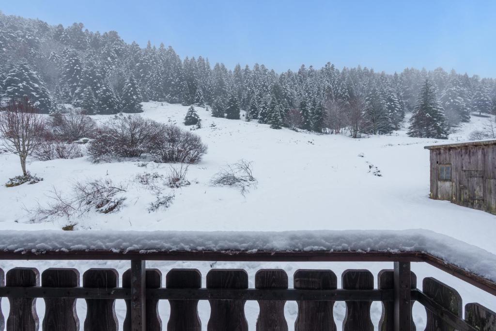Le Régit - Proche Station de Ski - 3