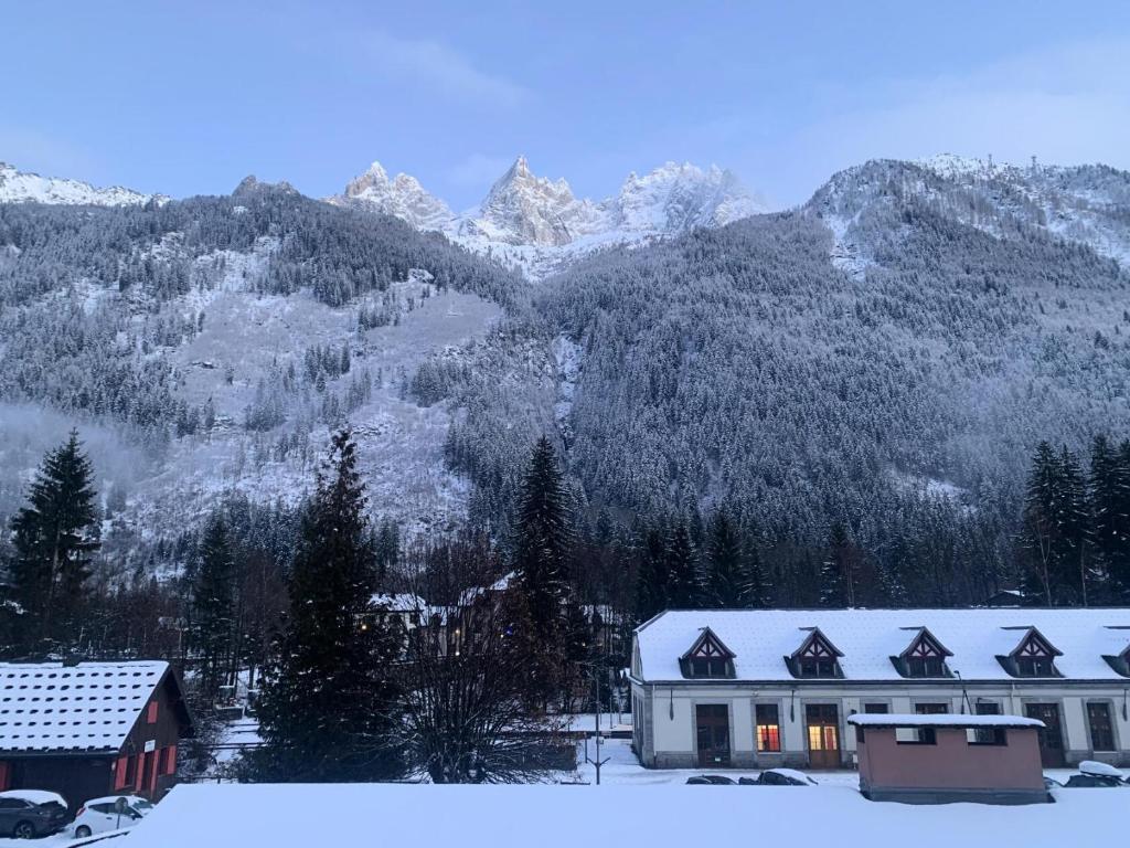 Résidence La Ginabelle - maeva Home - Appartement vue mont blanc 3 pièces 6 personnes avec parking - Prestige MAE-8604 - 2