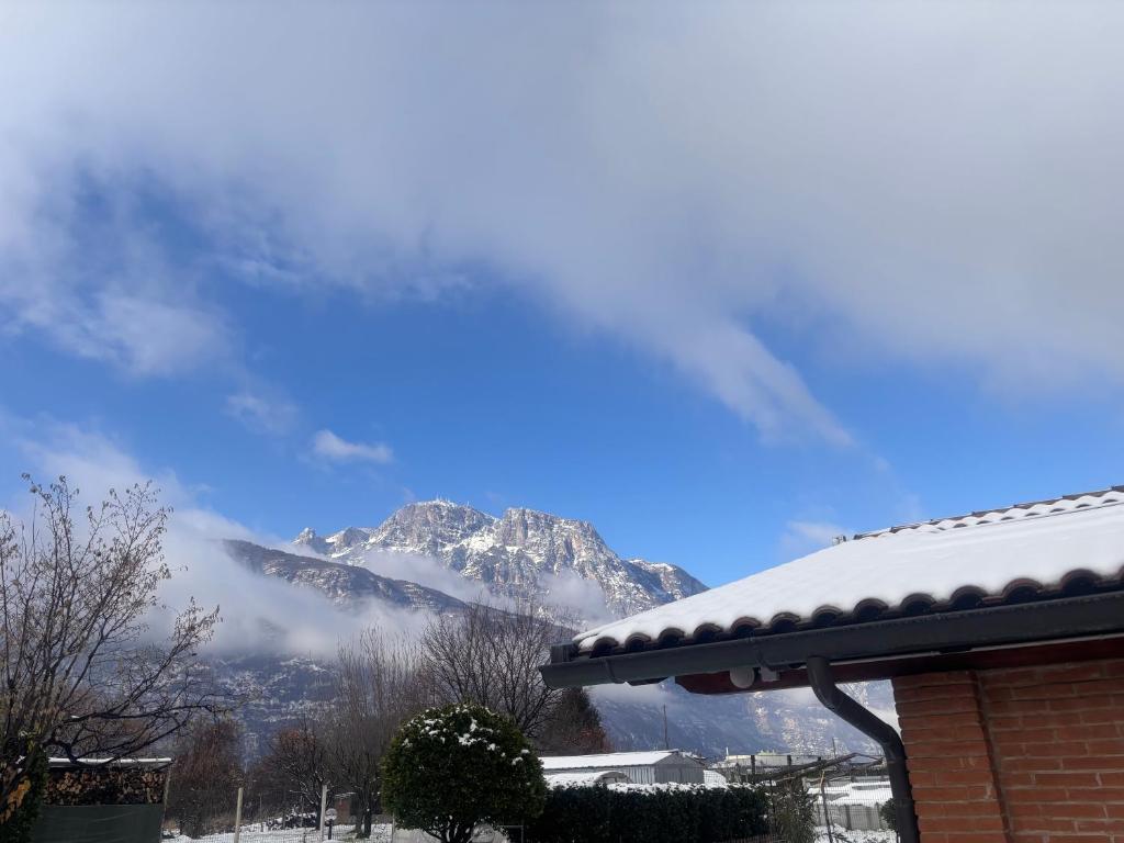 Trento Green - 5