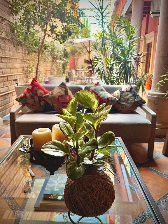 Exclusive Luxury Guest Center House - 4