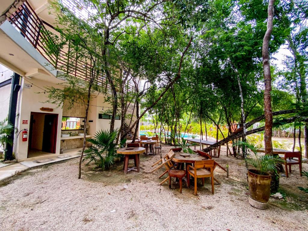 Apt Retreat with Cenote and Pool - 3