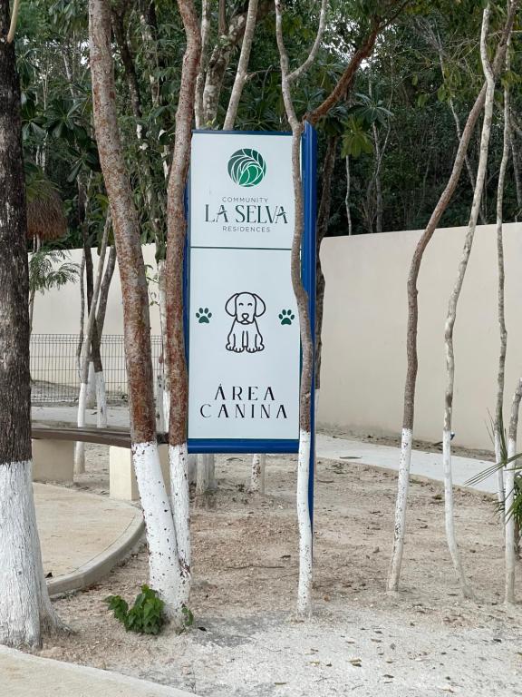 Hermoso departamento en playa del Carmen - 3
