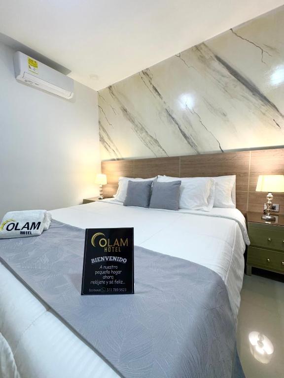 Hotel Olam Deluxe Valledupar - 4