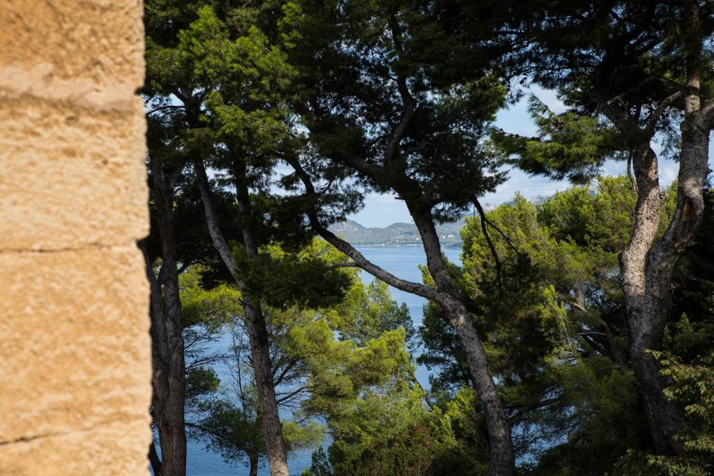 Petit Hotel Hostatgeria La Victoria — Attractions in the area in Alcudia, Balearic Islands