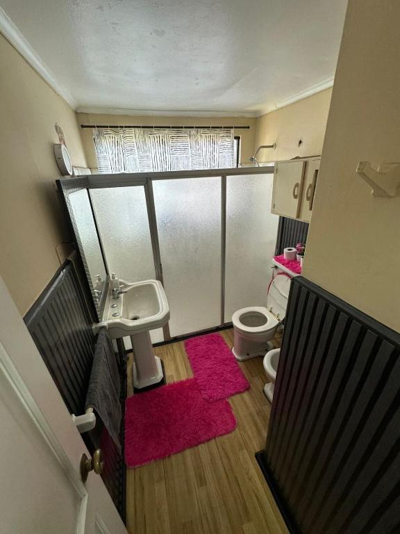 Casa sector céntrico 3D y 2B aire acondicionado parking y wifi incluido - 2