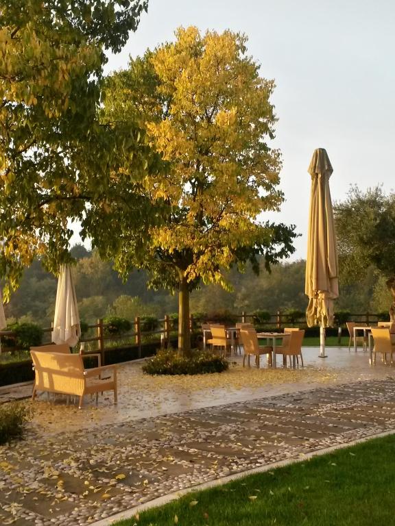 Agriturismo Althea photo