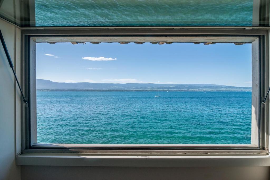 Very nice apartment on Lake Geneva - 1