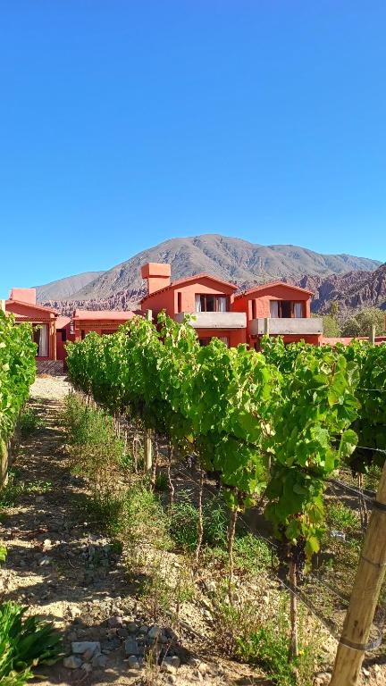Pirca del Abuelo II - 3