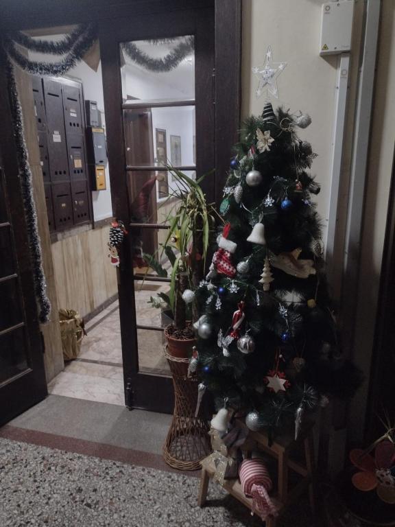 Ena's apartman - 3