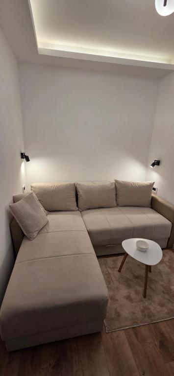 Vilotic studio - 5