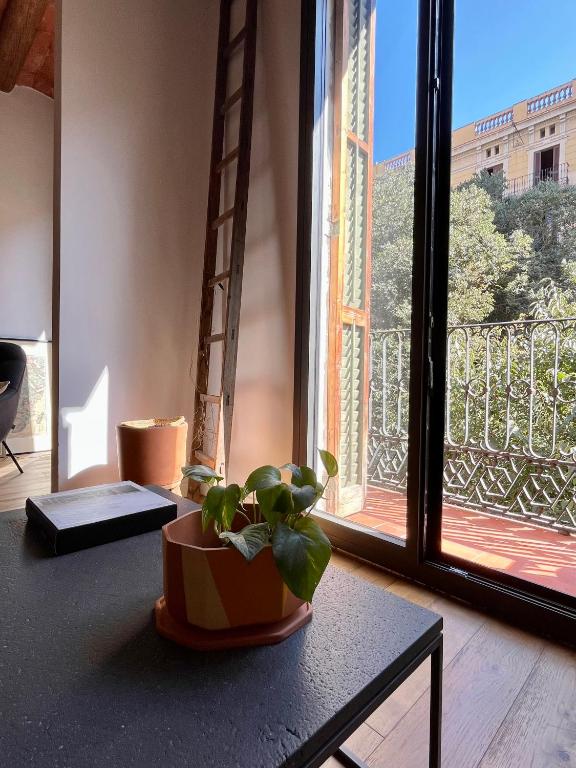 Spacious and cozy apartment - 3