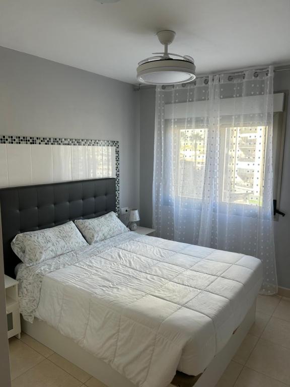 MAGNIFICO APARTAMENTO A 50m PLAYA - 3