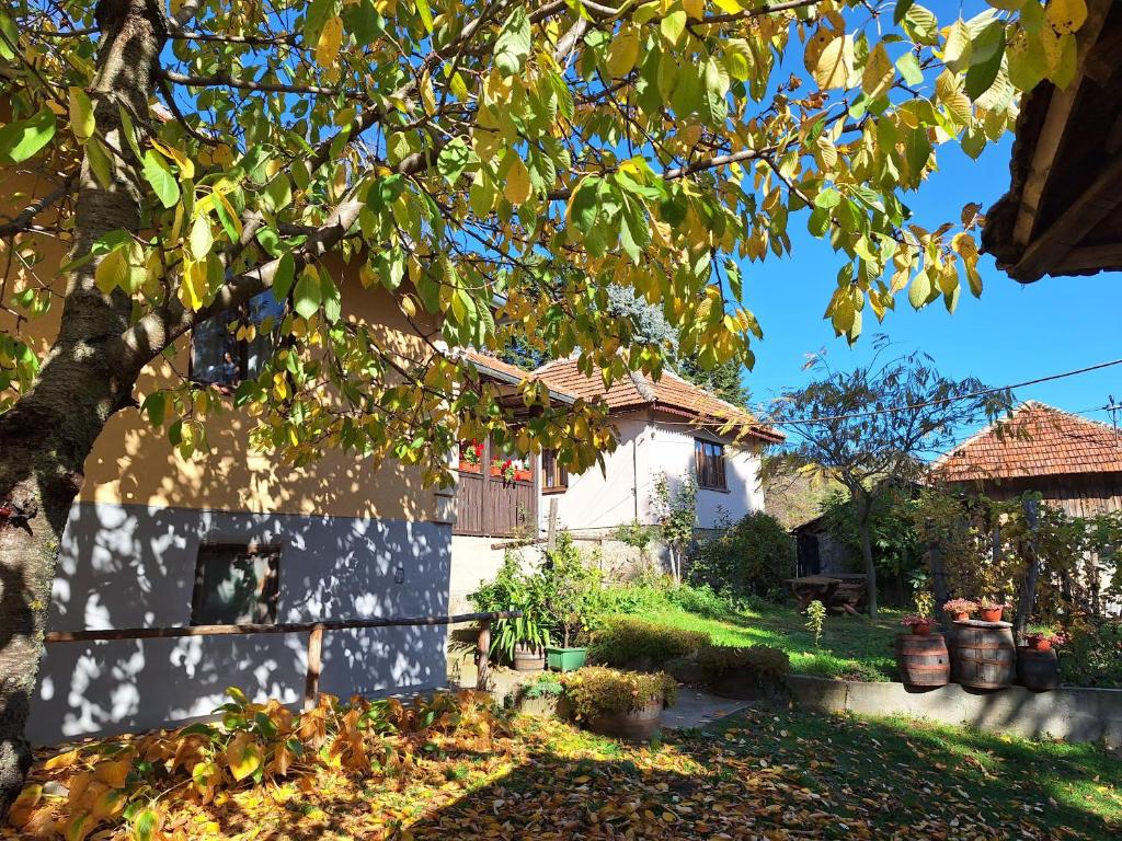 Domaćinstvo Drenak - Bešnjaja - 5