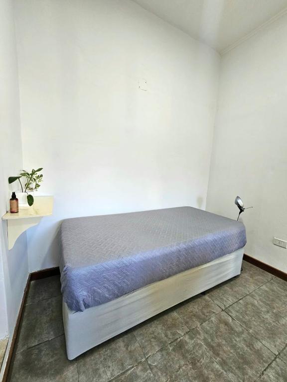 Casa Riosario - 3