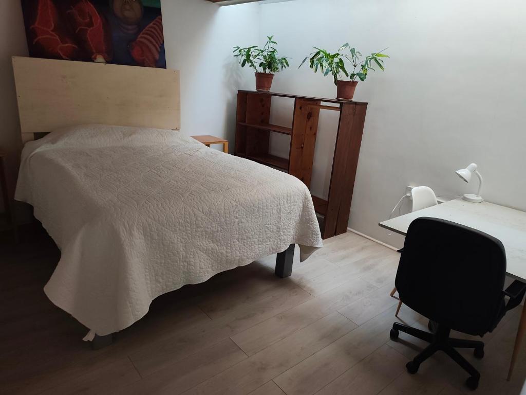 Depto casa celeste - 3