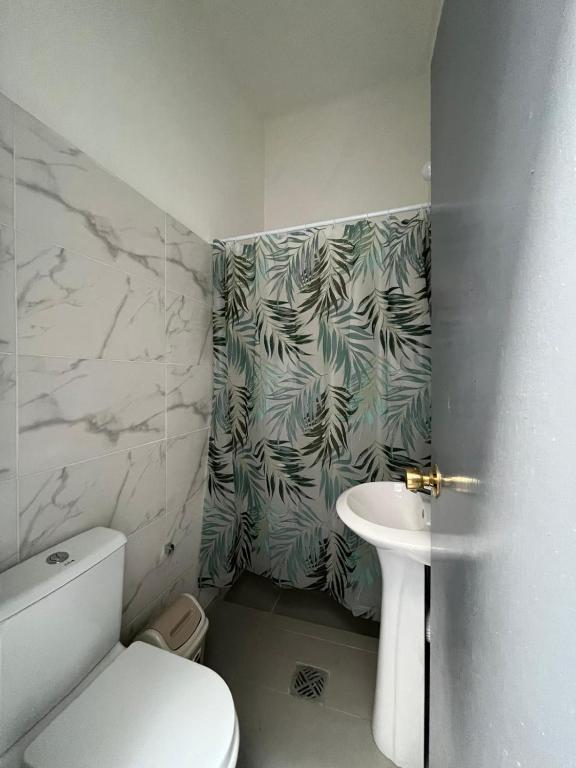 Terraza house - 3