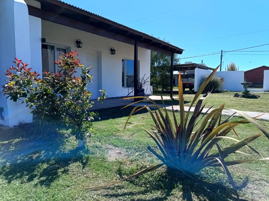 Cabañas Las Cortaderas del Cerro - 1