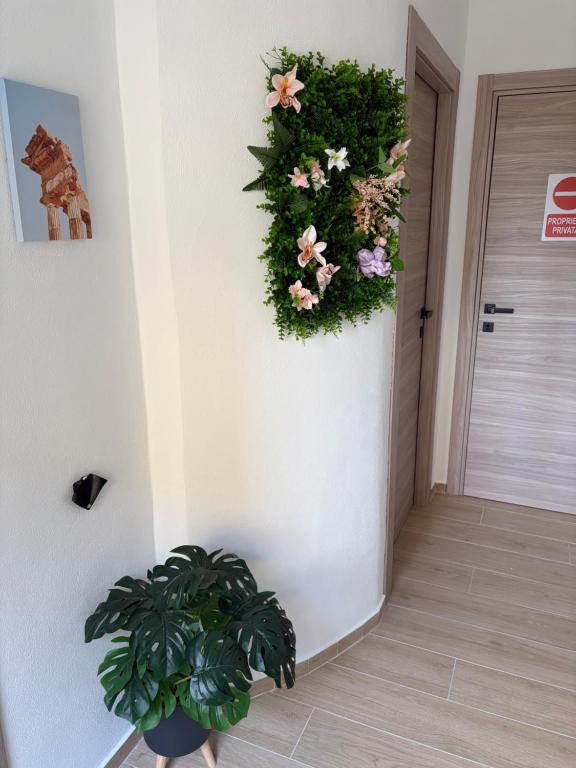 Pisano Suite - 3