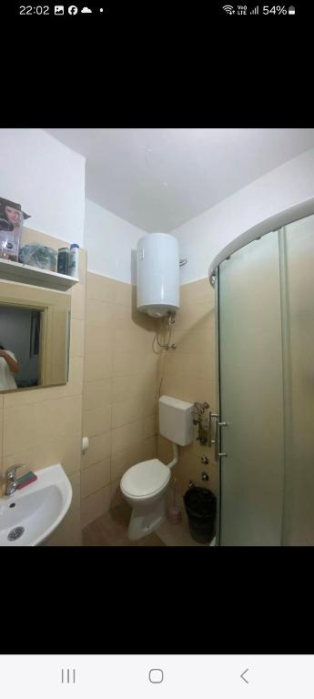 Apartmani Radosavljevic - 3