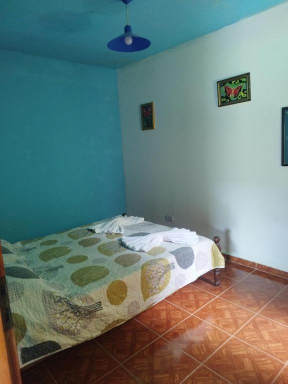 Adolfo 401 - 3