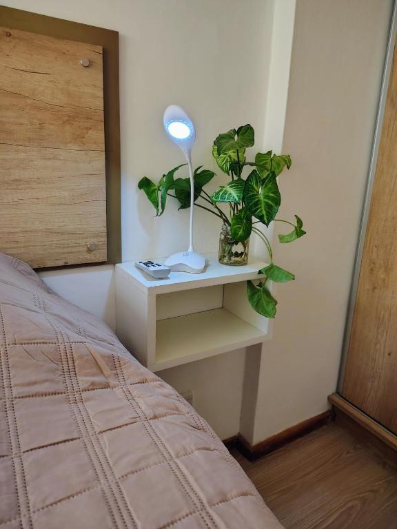 The Palm HouseBoutique apartment - 1