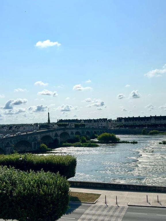Appartement vue sur Loire - 1