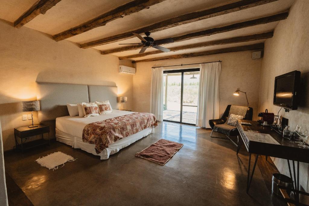 Bodega Alpasión Lodge y Glamping - 3