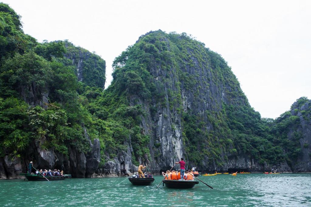 Surrounding environment