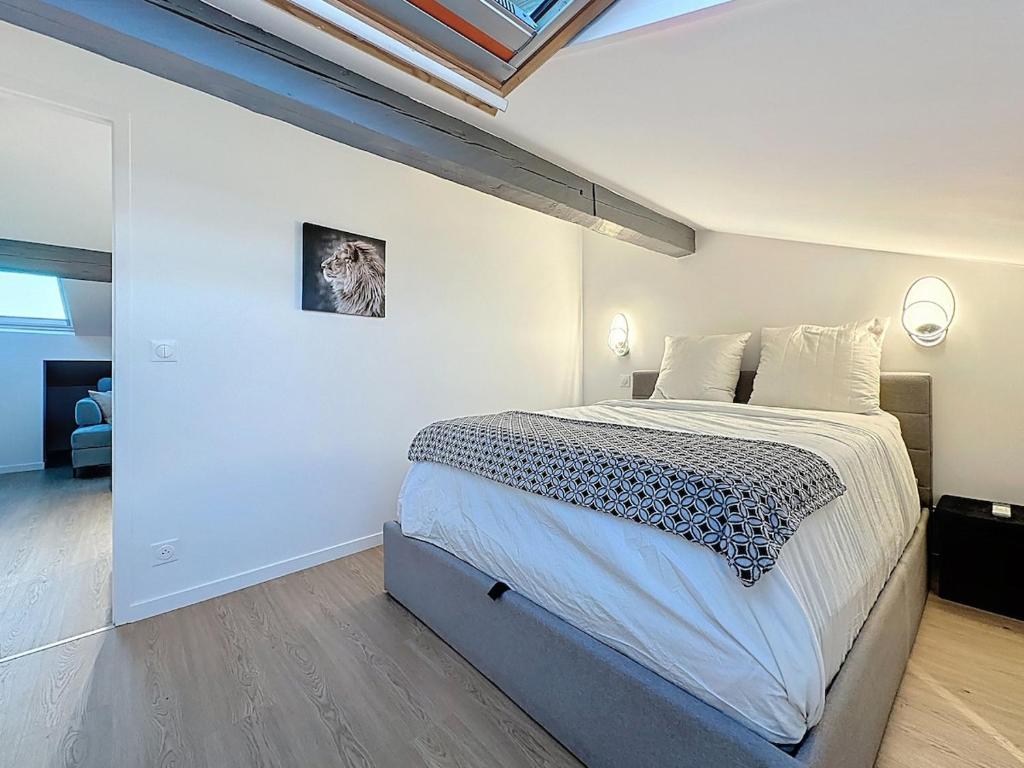 31m2 - appartement en plein centre-ville - 2