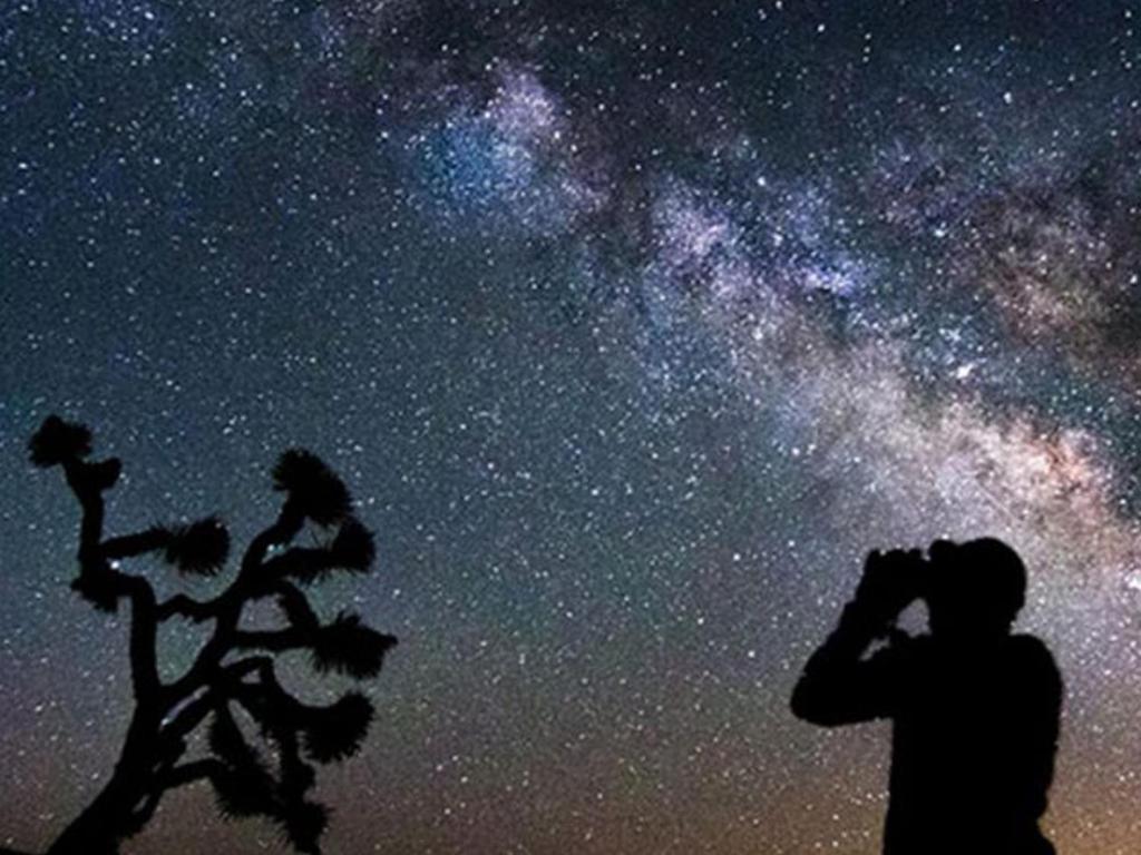 アクティビティ