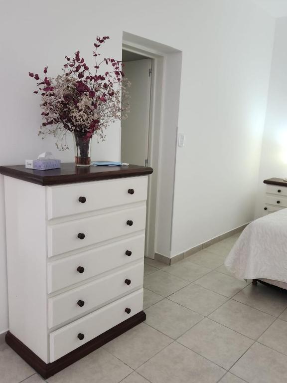 Departamento 2 Viedma Centro - 4