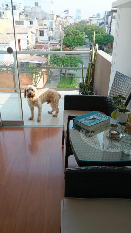 habitación alquiler - 3