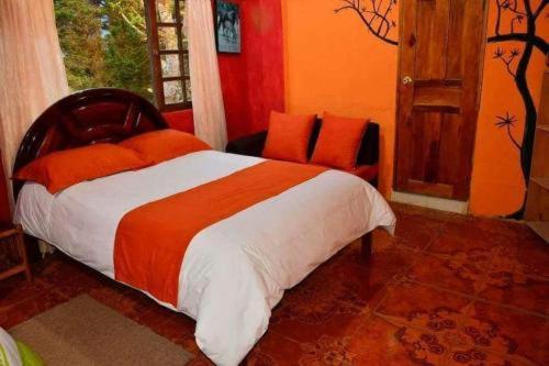 Las Orquídeas Runtun Lodge - 3