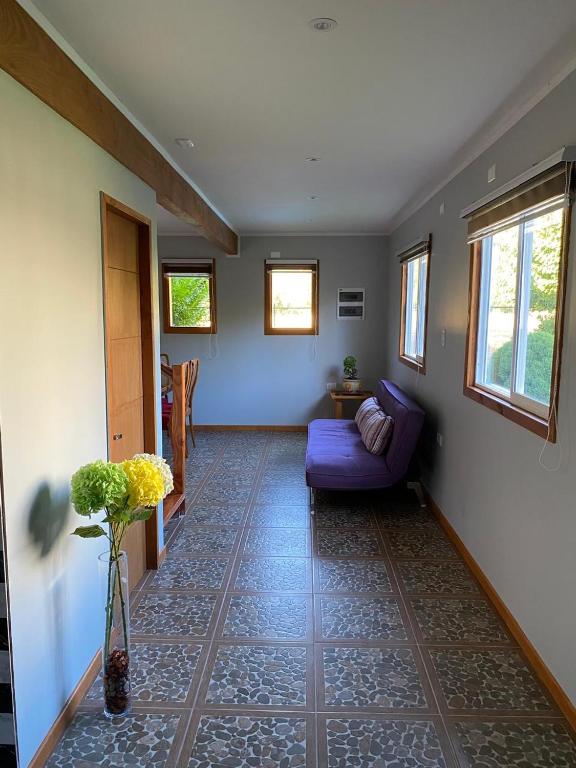 Hostal Tour Pucon - 5