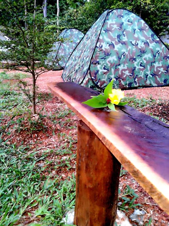 Surrounding environment
