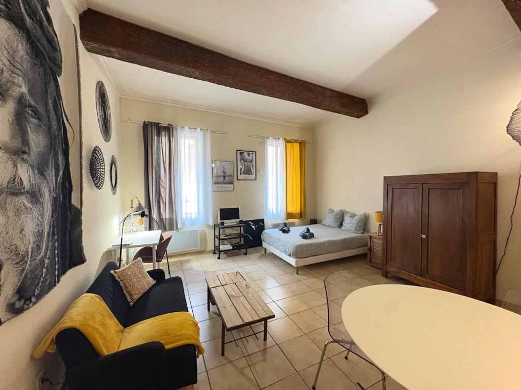 Le Petit Briand Arles centre - 1