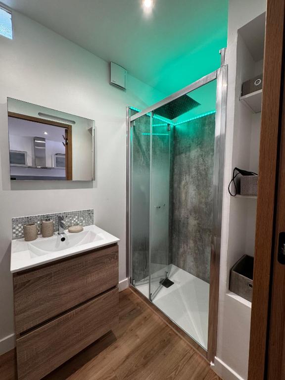 Appartement - Jardin - Parking - Clim - 4