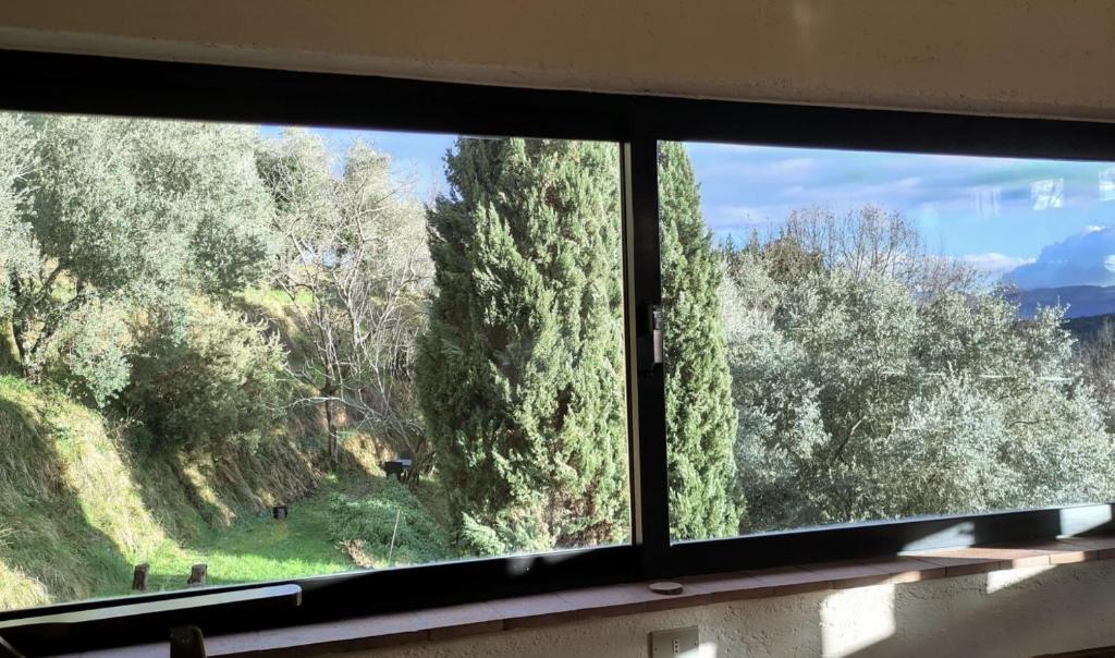 Ellera suite Country Barn in Lucca olive Grove - 1