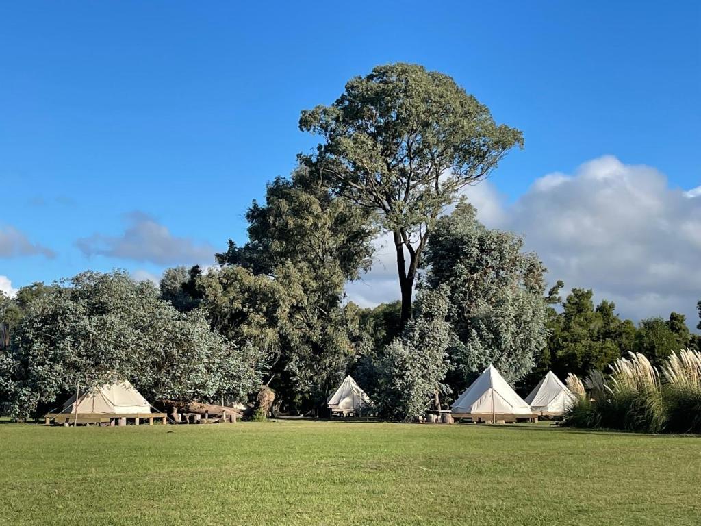 REFUGIO Natural Glamping - 5