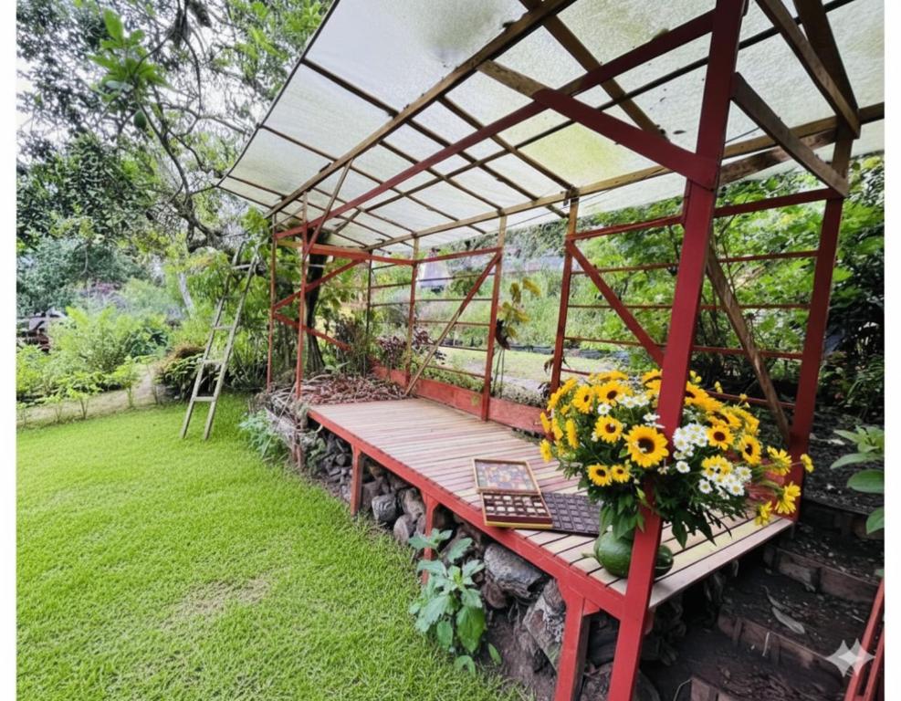 Tipi Miramelinda - 5