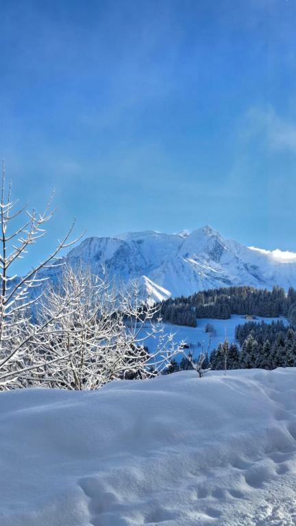 Cocon Saint-Gervais - 2